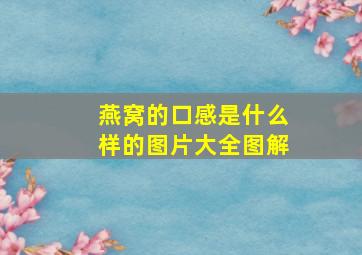 燕窝的口感是什么样的图片大全图解