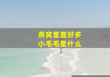 燕窝里面好多小毛毛是什么