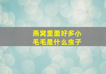 燕窝里面好多小毛毛是什么虫子