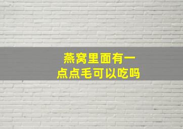 燕窝里面有一点点毛可以吃吗