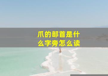 爪的部首是什么字旁怎么读