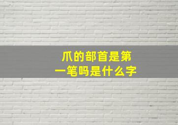 爪的部首是第一笔吗是什么字