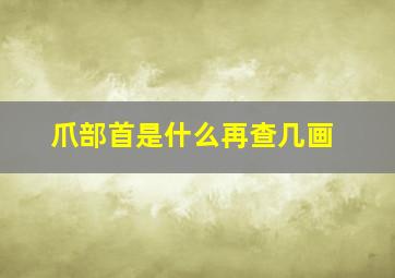 爪部首是什么再查几画