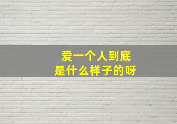 爱一个人到底是什么样子的呀