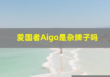 爱国者Aigo是杂牌子吗