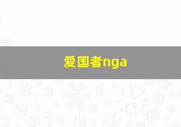 爱国者nga