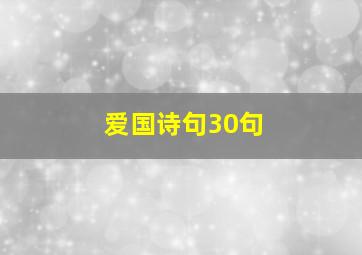 爱国诗句30句