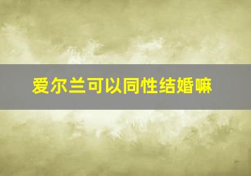 爱尔兰可以同性结婚嘛