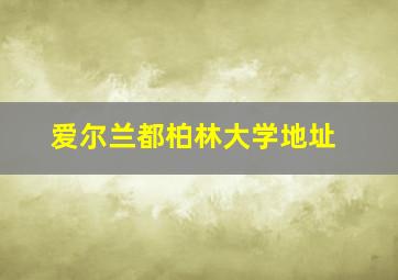 爱尔兰都柏林大学地址