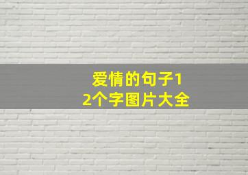 爱情的句子12个字图片大全