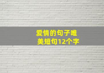 爱情的句子唯美短句12个字