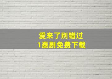 爱来了别错过1泰剧免费下载