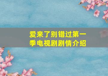 爱来了别错过第一季电视剧剧情介绍