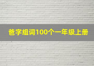 爸字组词100个一年级上册