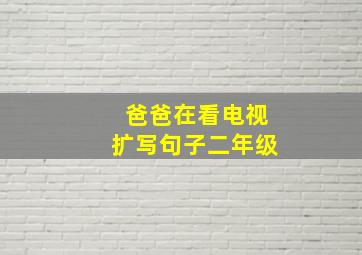 爸爸在看电视扩写句子二年级