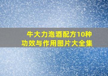 牛大力泡酒配方10种功效与作用图片大全集