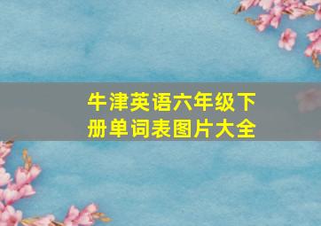 牛津英语六年级下册单词表图片大全