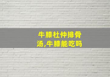 牛膝杜仲排骨汤,牛膝能吃吗