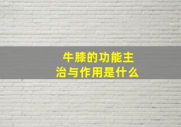 牛膝的功能主治与作用是什么