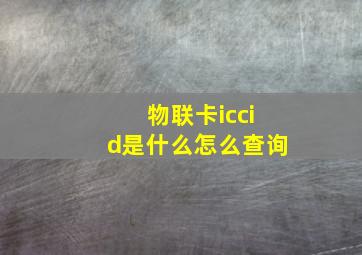 物联卡iccid是什么怎么查询