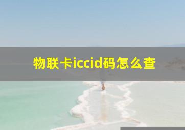 物联卡iccid码怎么查