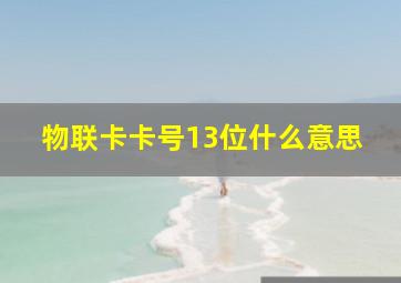 物联卡卡号13位什么意思