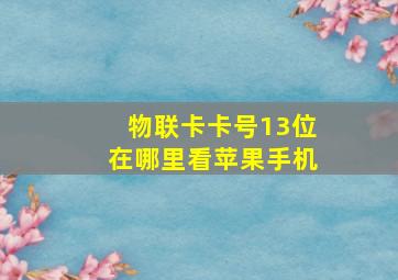 物联卡卡号13位在哪里看苹果手机