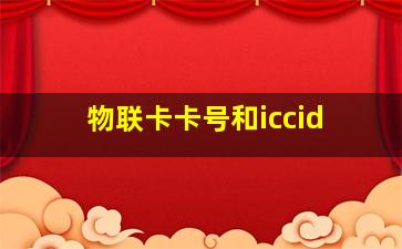 物联卡卡号和iccid