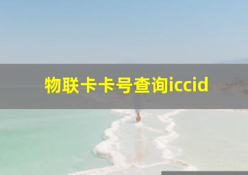 物联卡卡号查询iccid