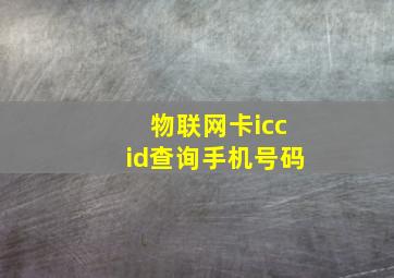 物联网卡iccid查询手机号码