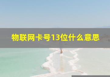 物联网卡号13位什么意思