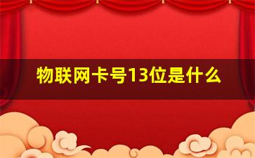 物联网卡号13位是什么