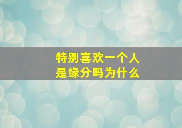 特别喜欢一个人是缘分吗为什么