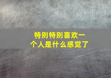 特别特别喜欢一个人是什么感觉了