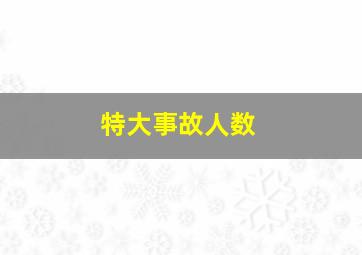 特大事故人数