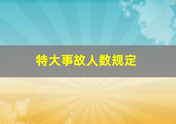 特大事故人数规定