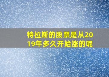 特拉斯的股票是从2019年多久开始涨的呢