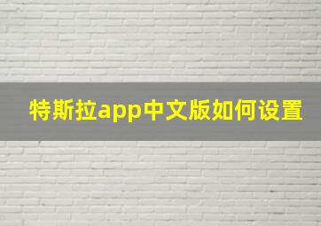 特斯拉app中文版如何设置