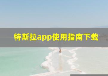 特斯拉app使用指南下载