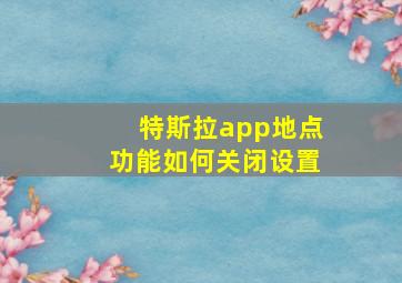 特斯拉app地点功能如何关闭设置