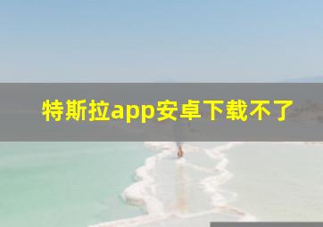 特斯拉app安卓下载不了