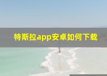 特斯拉app安卓如何下载