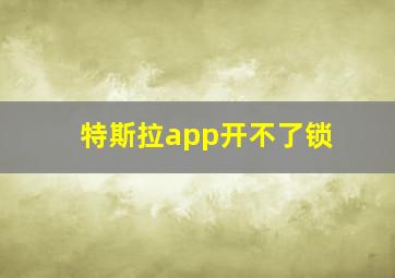 特斯拉app开不了锁