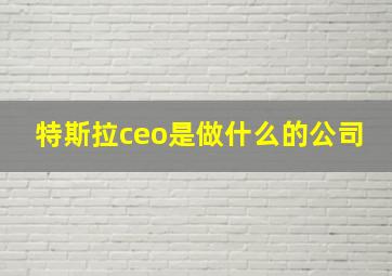 特斯拉ceo是做什么的公司