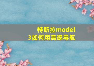 特斯拉model3如何用高德导航