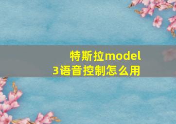 特斯拉model3语音控制怎么用