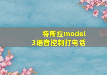 特斯拉model3语音控制打电话