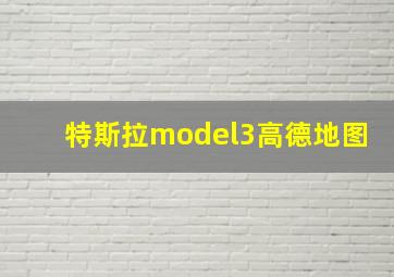 特斯拉model3高德地图