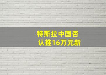 特斯拉中国否认推16万元新