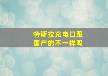 特斯拉充电口跟国产的不一样吗